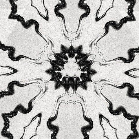 Black and white snowflake