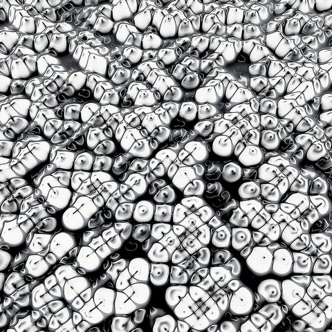 Cells